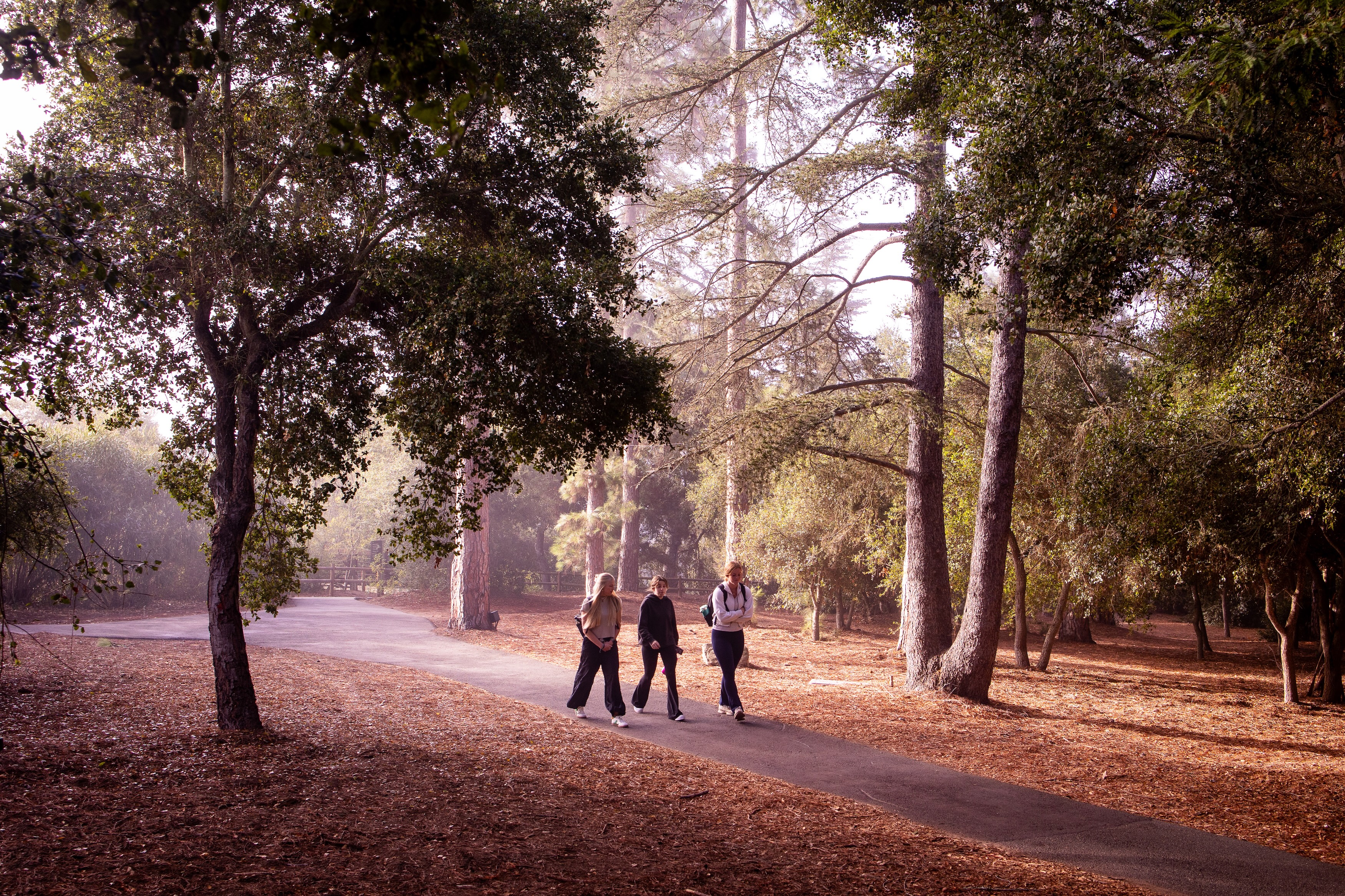 three female students walking through wooded forest on westmont campus