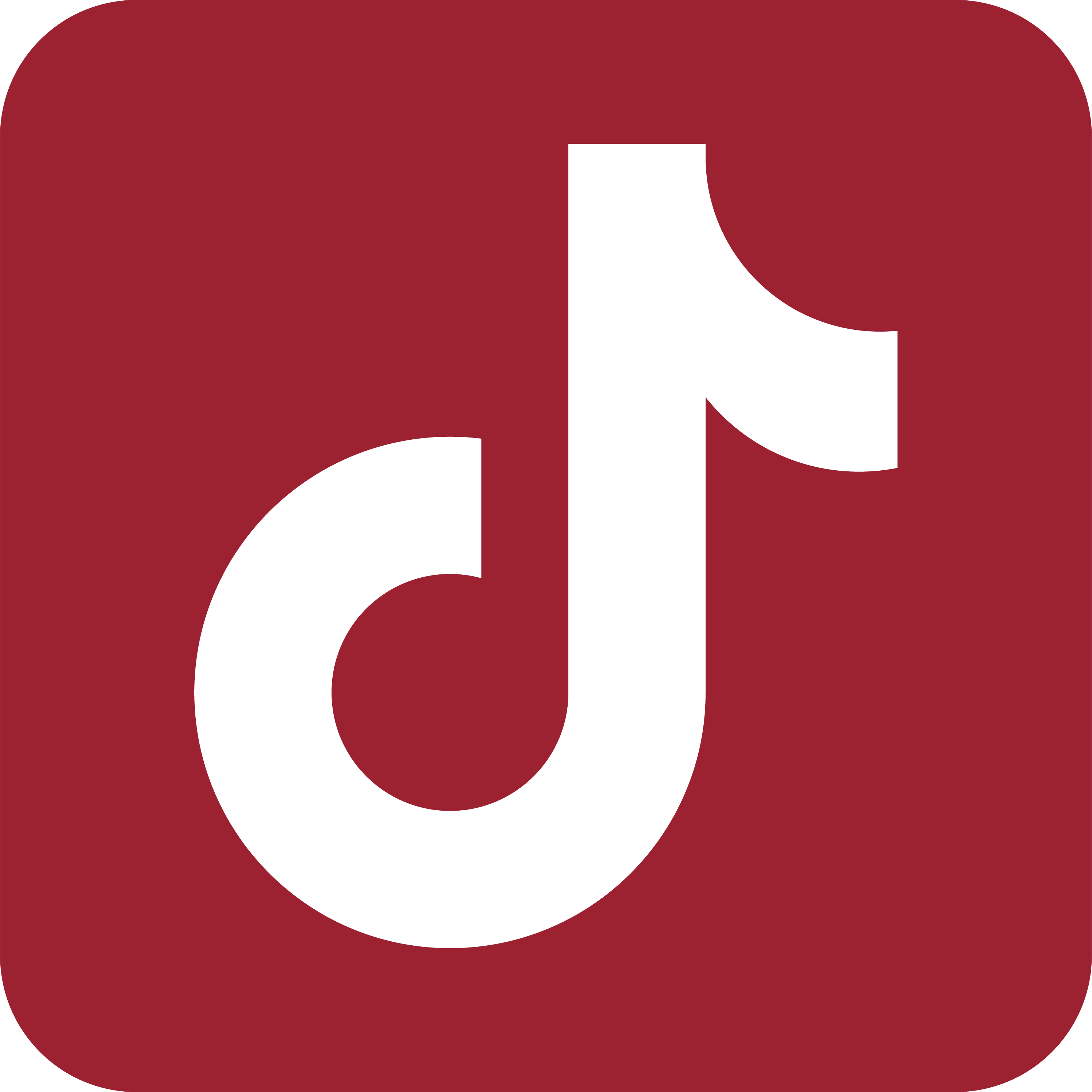 tiktok icon maroon