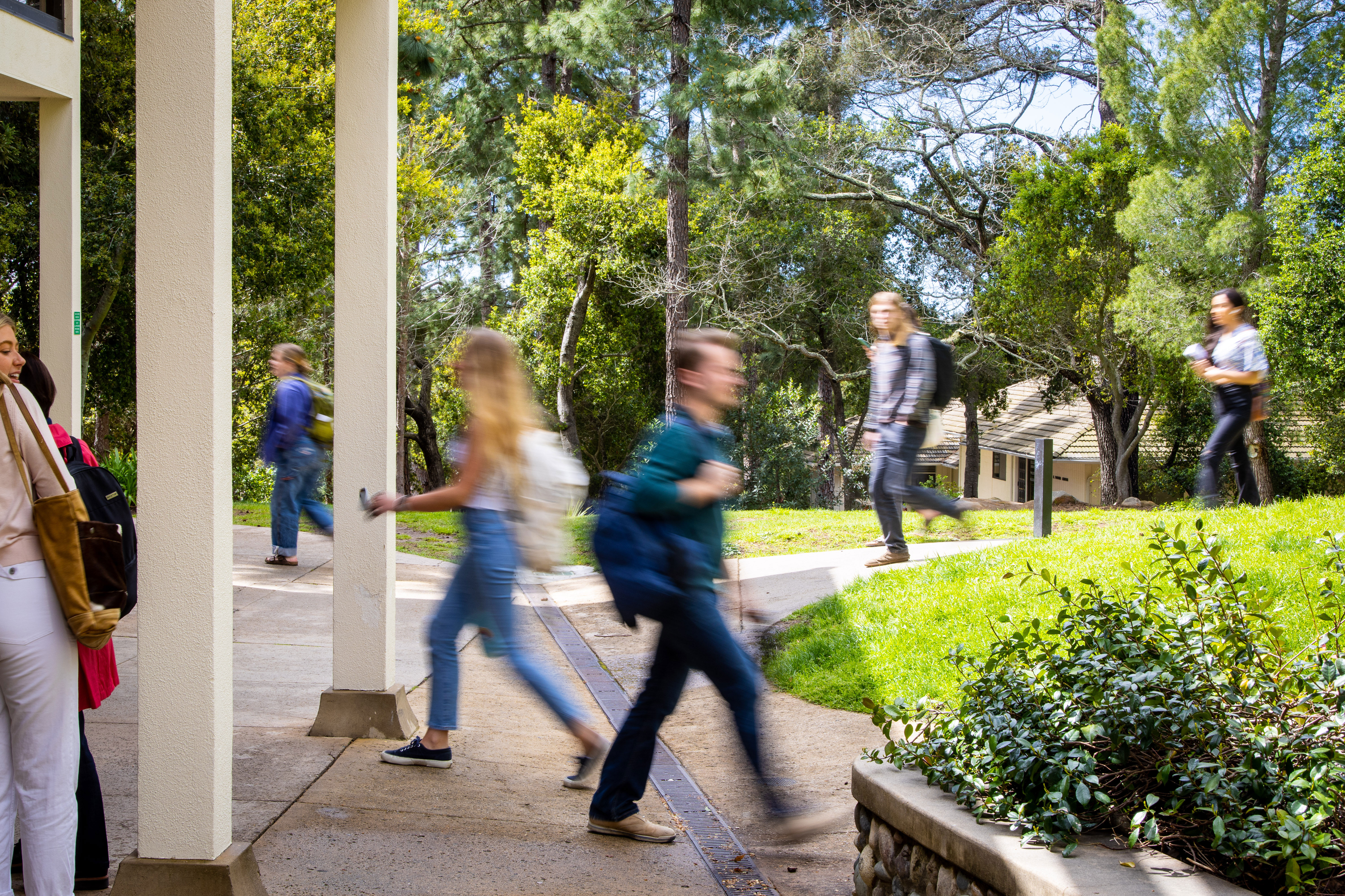 Walking Across Campus