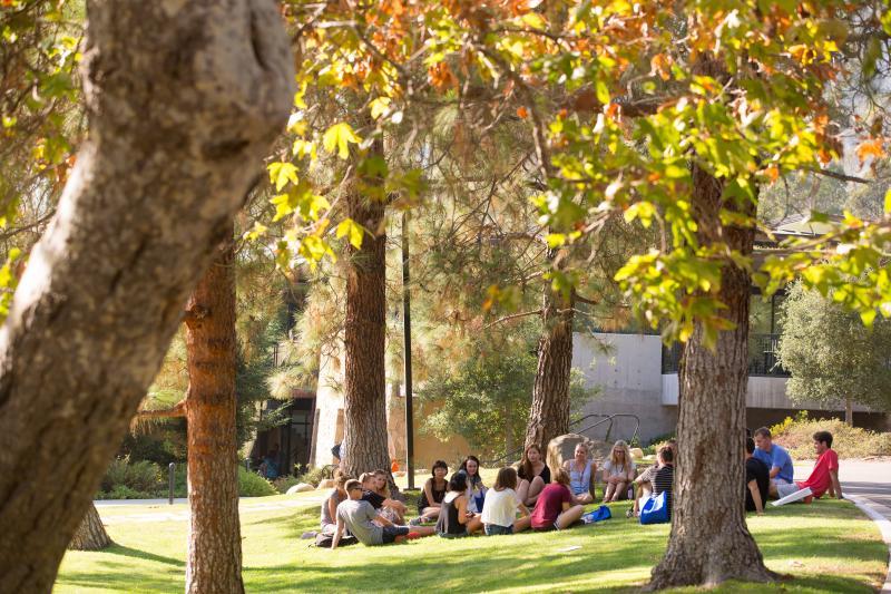 Students in class outside