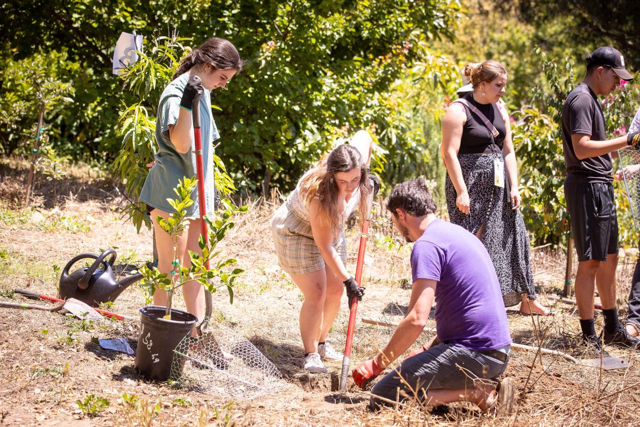 Faith.Climate.Action. working in the Westmont Garden
